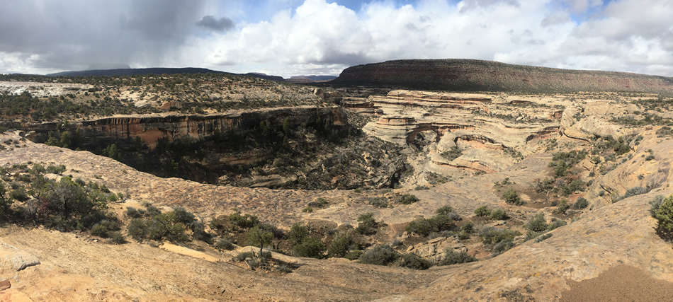 Natural Bridges National Monument